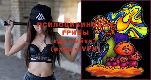 кокс Болотное