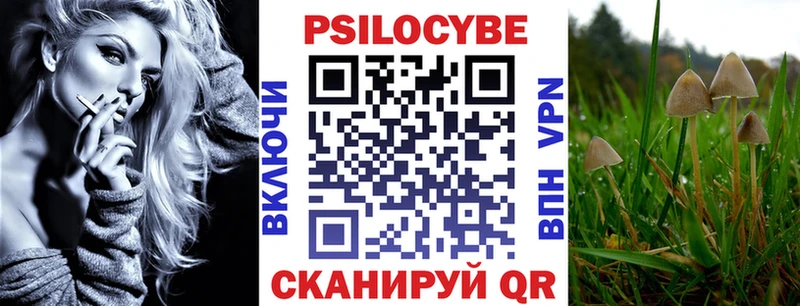 где можно купить наркотик  Нижние Серги  Галлюциногенные грибы Cubensis 